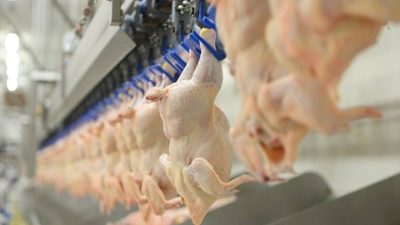 Beyaz et sektörüne operasyon: 13 şirkete denetim kayyumu atandı