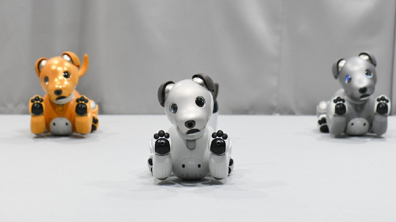 Sony'den sürpriz karar! Efsane robot köpek Aibo'nun satışı durduruldu