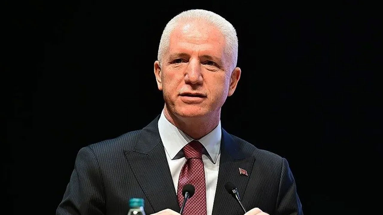 Vali Gül: İstanbul'da sahipsiz hayvanların yüzde 65'i toplandı