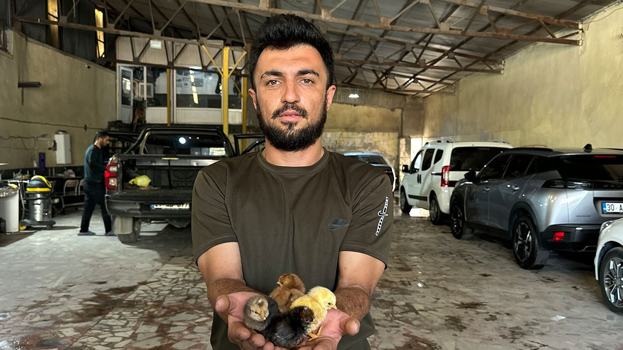 Belgeselden ilham aldı, oto yıkamacıda kuluçka makinesi geliştirdi