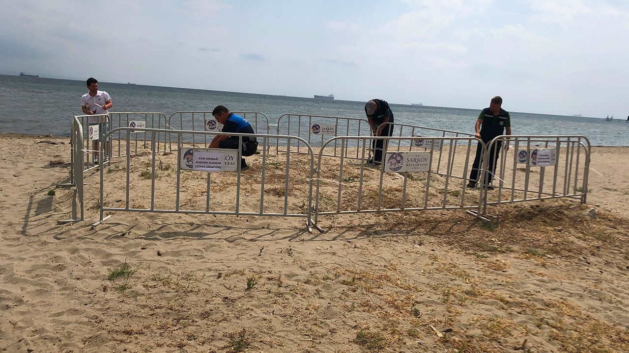 699 bin liralık ceza koruyor: Kum zambakları için önlem