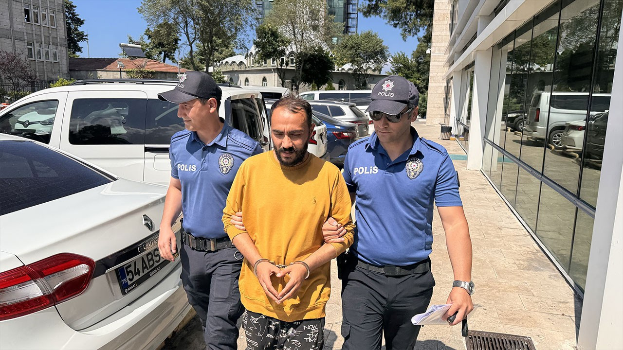 Samsun'da kediye tekme atan şüpheli tutuklandı