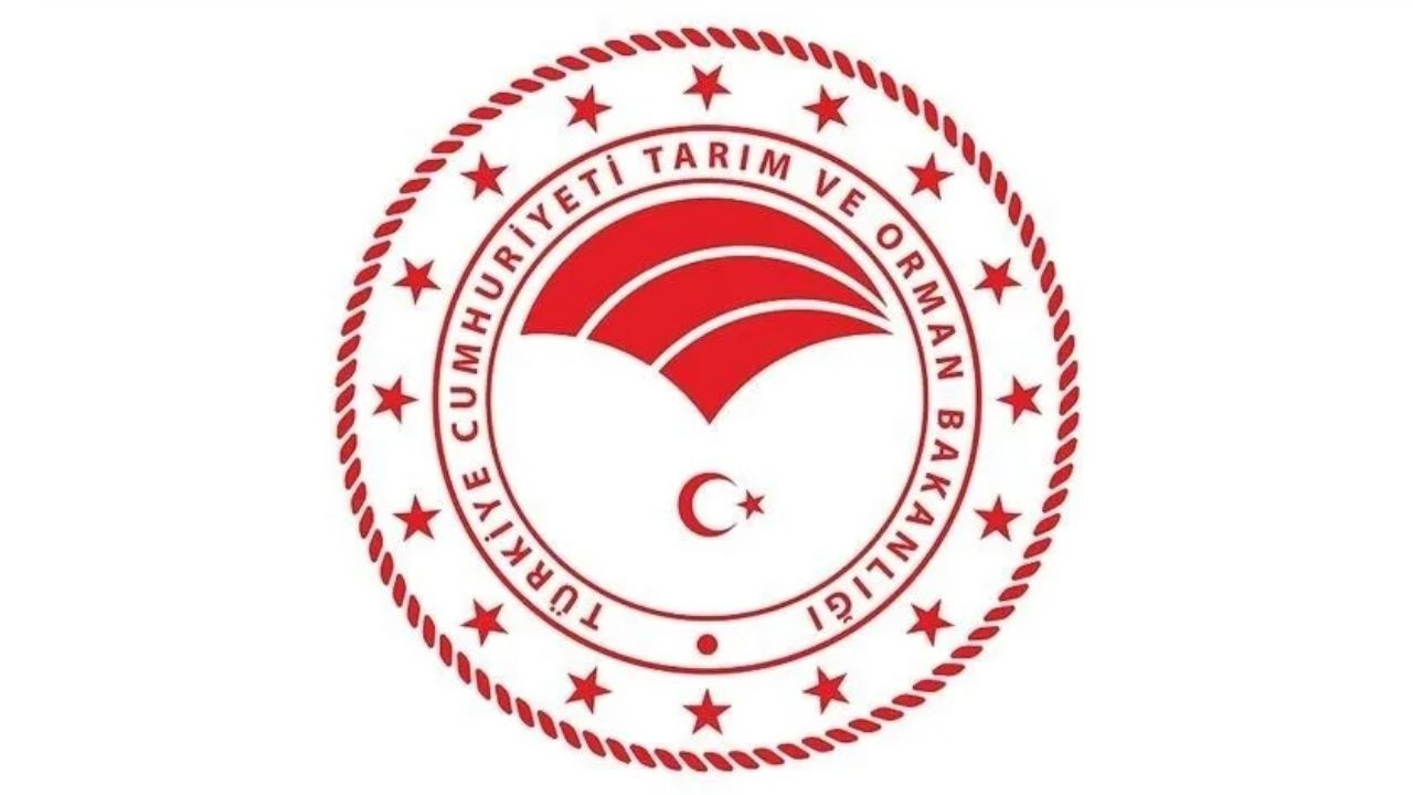 Tarım ve Orman Bakanlığı 1874 sözleşmeli personel alımı başvuruları ne zaman? Kadro ve branş dağılımı...