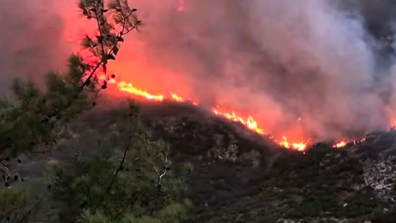 Antalya’nın Kaş ilçesinde orman yangını