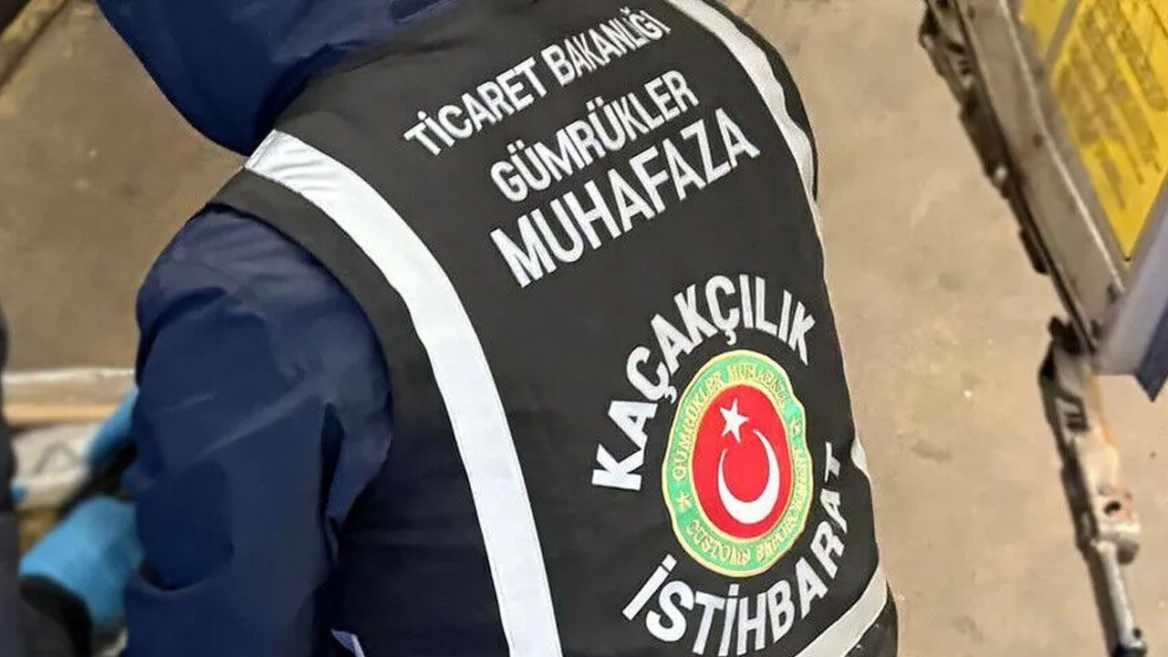 Gümrüklerde büyük operasyon: 58 bin canlı hayvan ele geçirildi