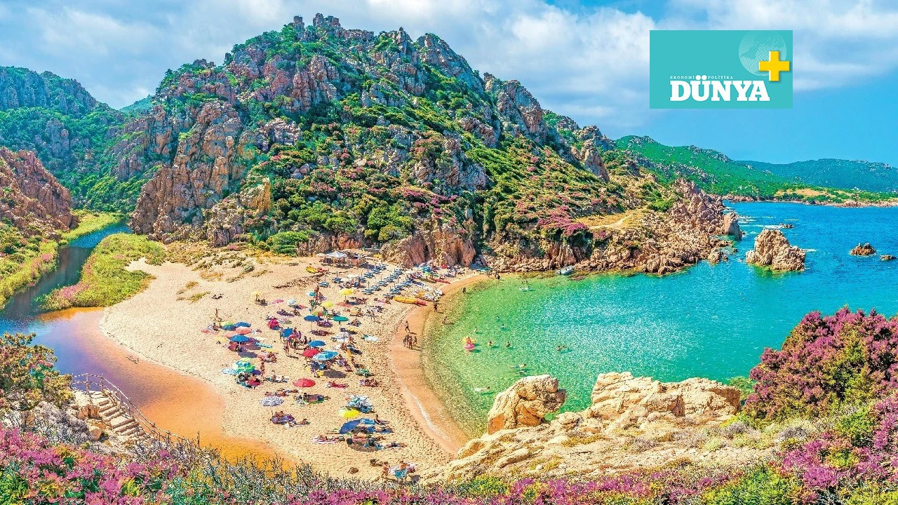 Akdeniz zarafeti: Sardunya