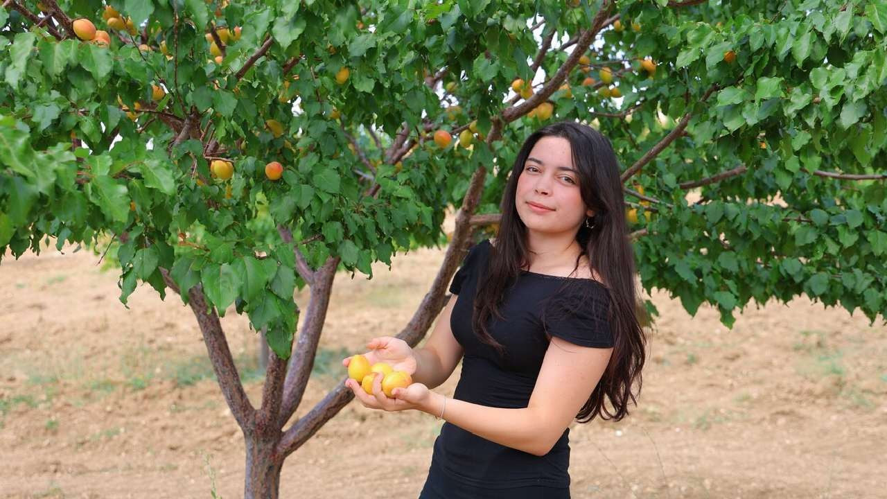 Susuz yaylada başladı, 10 bin ağaca ulaştı: 17 yaşındaki öğrencinin projesine dünya çapında ödül