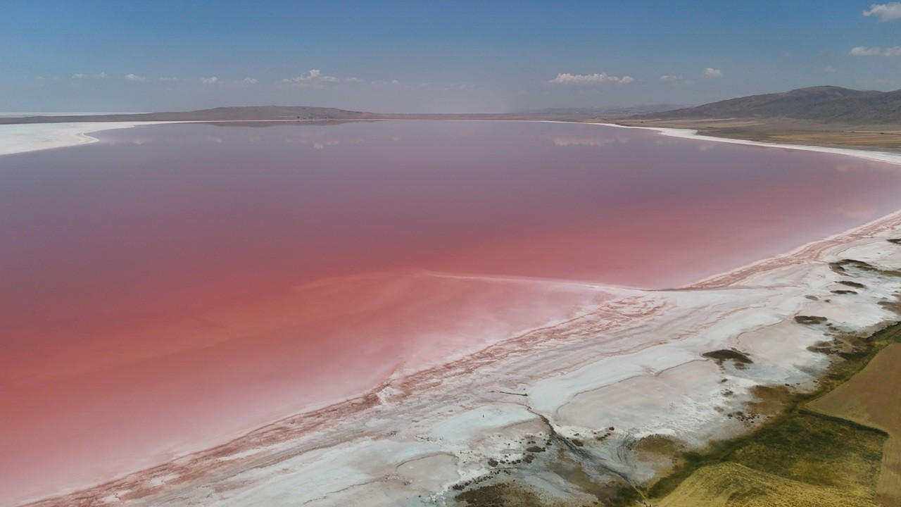 Kışın buz mavisi, yazın beyazdı: Şimdi ise pembe