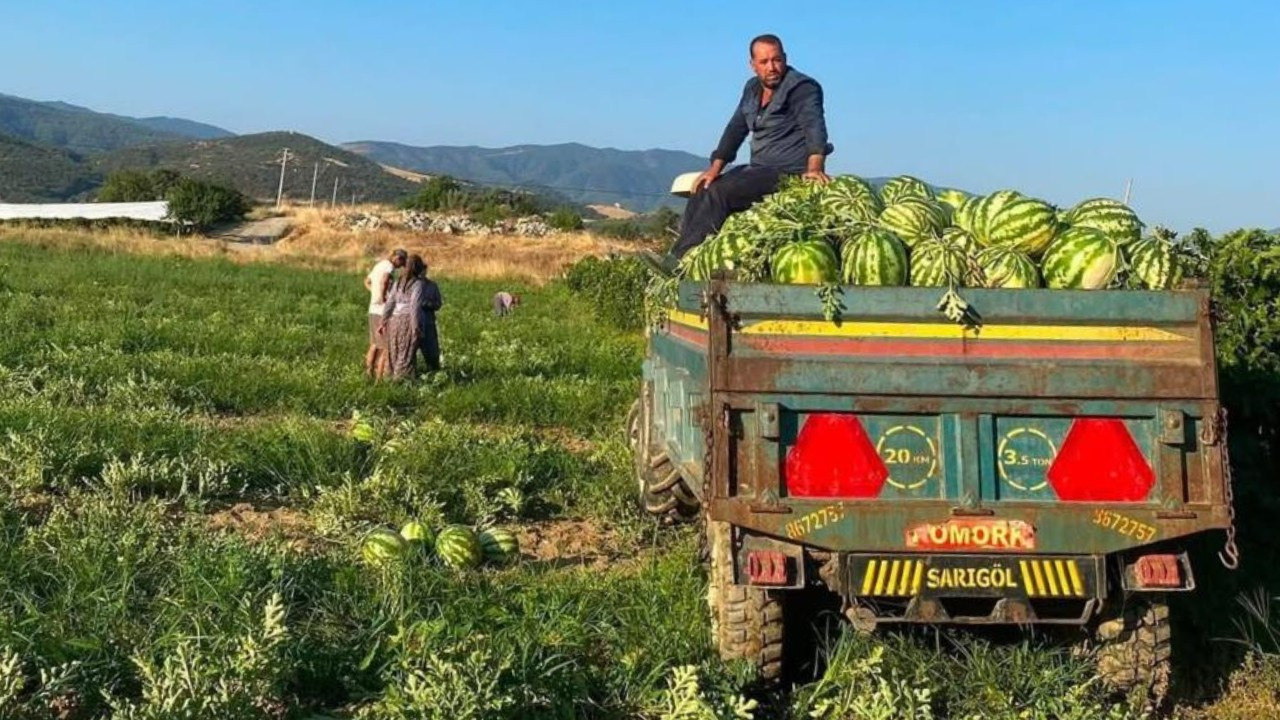 Aracıların teklifini kabul etmedi: Ürününü pazarda kendisi satıyor