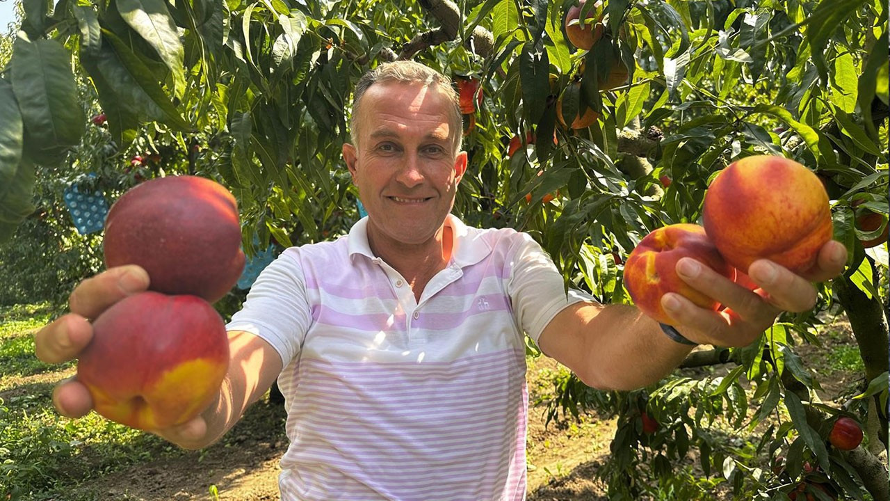 Ağustosta tarlada 10 liraya kadar düşmüştü: Dalında 40 lirayı gördü
