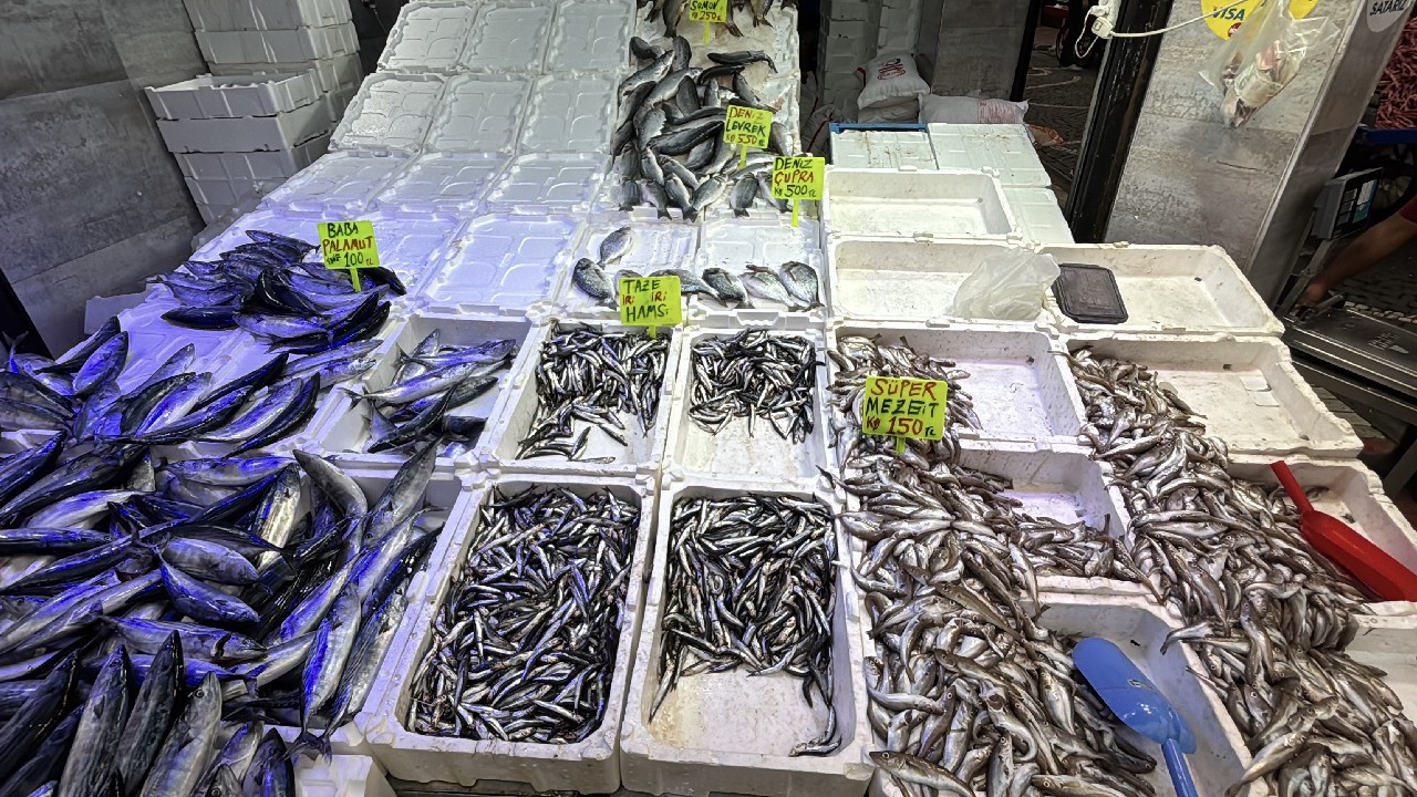 Karadeniz'de ağlar doldu, fiyatlar 50 liraya kadar düştü