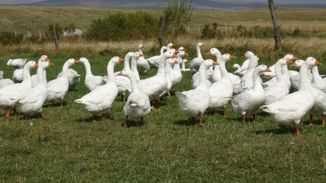 Belediye başkanlığından sonra bu işe başladı: 6 yıldır geçimini sağlıyor