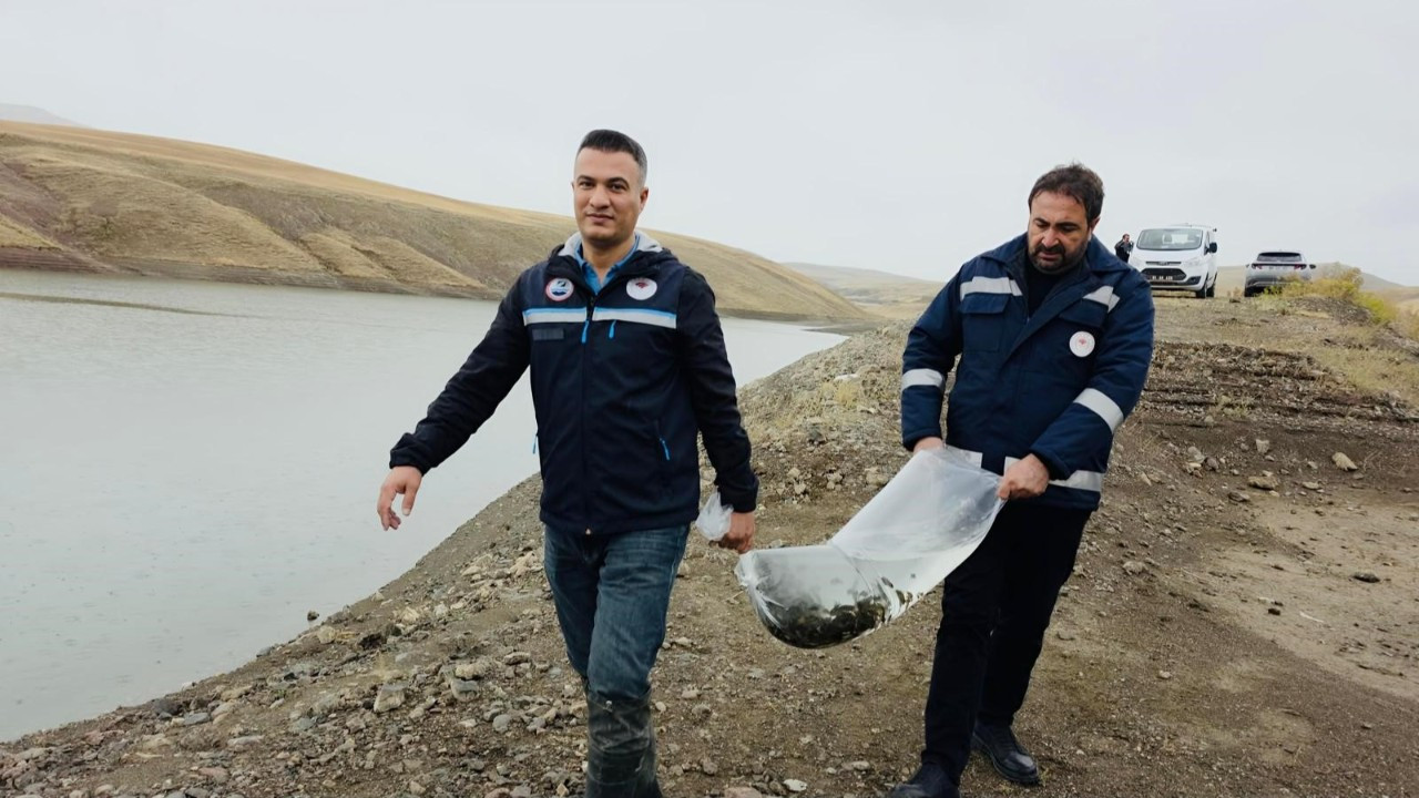 Van Gölü'nden Ekonomiye Zengin Katkı: Yeni Bir Dönemin Temelleri Atılıyor