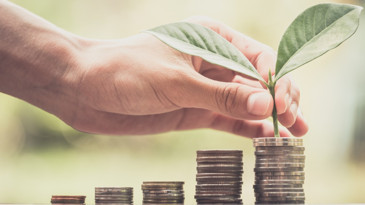 Yeşil finansmanda faiz frenine rağmen eylem zamanı