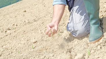 AB'de tarım topraklarının yüzde 70’i bozuldu