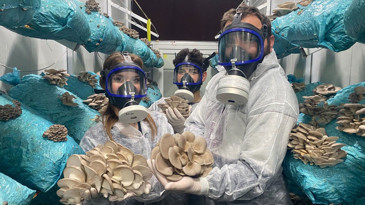 Hobi olarak başladı: Günde 1 tona yakın hasat elde ediyor