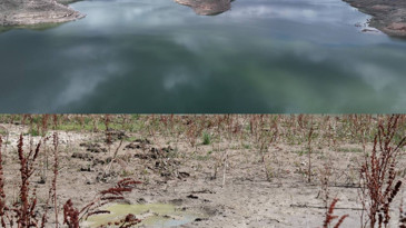 Kuruyan gölün son halini görenler manzaraya inanamadı: Son 15 yılın en yüksek seviyesi