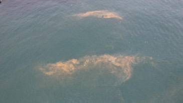 Marmara’da tedirgin eden görüntü: Deniz renk değiştirdi