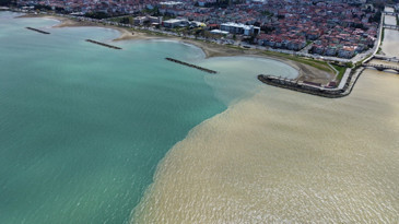 Karadeniz'in rengi değişti: Ordu'da dikkat çeken görüntü