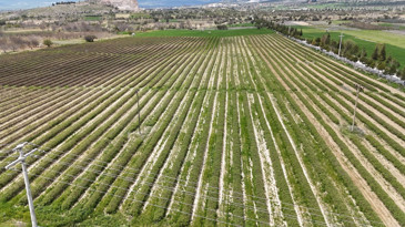 Isparta’da gül sezonu başlıyor: Rekolte beklentisi 13 bin ton