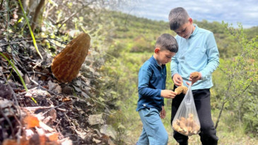 Dağlara akın ettiler! Kilosu 2 bin lirayı bulan mantar için yarış başladı