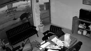 Önce keşif yaptı, sonra çiçekleri kökünden söküp çaldı