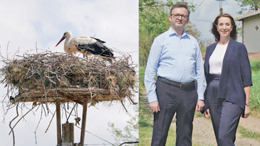 IC Holding’in COP31 sürecinde ilk ‘Etki Serisi’ biyoçeşitlilik oldu