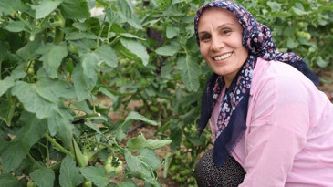 Çorak toprakları üretim üssüne dönüştürdü: Kazancı 600 bin lira
