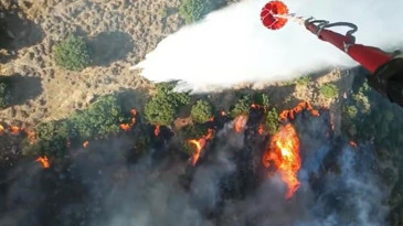 İzmir Menemen’deki yangına havadan 6 uçakla müdahale ediliyor