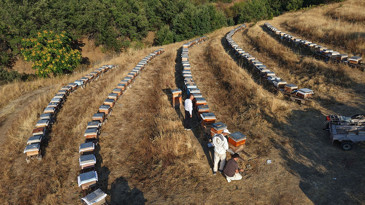 Kar ve yağmur bereket getirdi: Bal rekoltesi yüzde 20 arttı