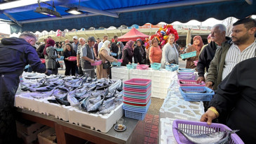 Bolu'da palamut ve hamsiye yoğun ilgi: Tezgahlarda metrelerce kuyruk oluştu