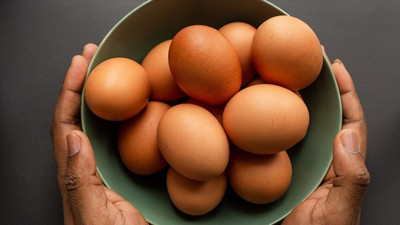 Küçük yumurta üretimi için üst limitler güncellendi