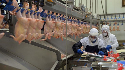 BESD-BİR: Piliç etinde risk, hazırlık ve pişirme hatalarından kaynaklanıyor