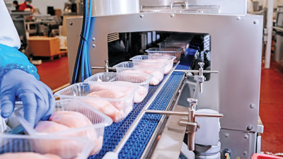 Piliç sektörüne milyarlık rekabet cezası!