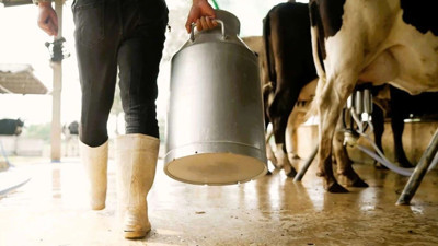 T&Uuml;SEDAD: &Ccedil;iğ s&uuml;t &uuml;retim maliyeti şubatta 27,64 TL&rsquo;ye &ccedil;ıktı