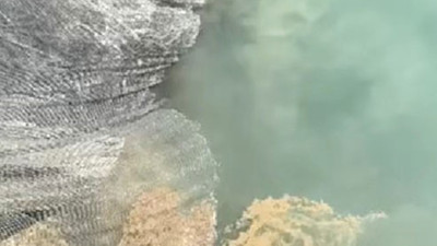 Müsilaj kâbusu geri döndü! Uzman isimden korkutan açıklama