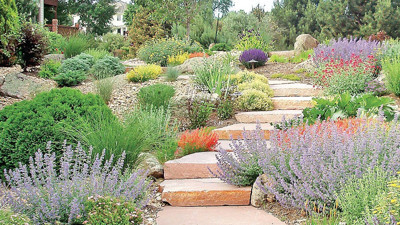 Kuraklık peyzaj anlayışını değiştiriyor