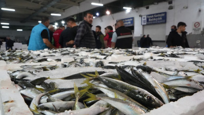 Kasalar kapışıldı, en çok o balık satıldı