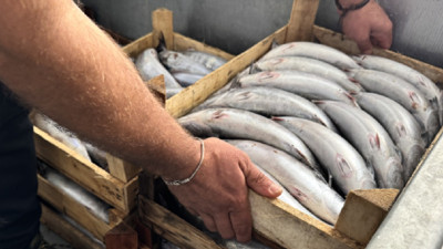 9 bin tane tuttular, tanesini 400 TL'den sattılar