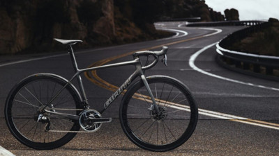 Giant bisikletlerine ithalat yasağı