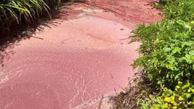 Ferizli’de fabrika atıkları isyanı: Balıklar öldü, mahsuller zarar gördü