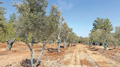 Bilimle taşınan kadim miras