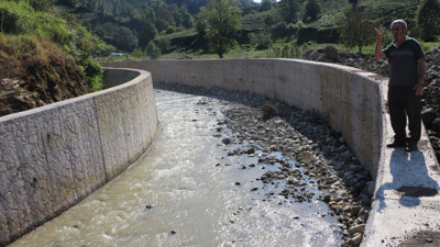 Ektiği çay ile araya dere girdi! Toplayamıyor