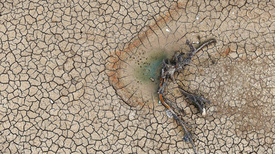 Bursa’da iki barajda su bitti: Tarım arazileri kuraklığın pençesinde