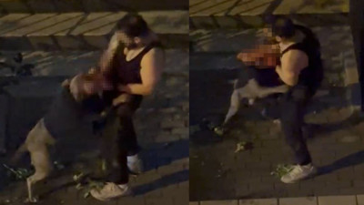 Pitbull cinsi köpek sahibine saldırdı: Dehşet anları kamerada