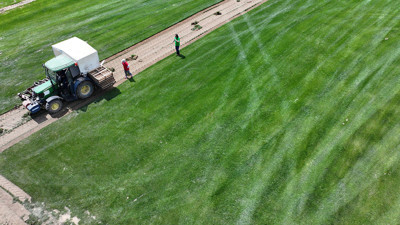 Köyden kente göçü tersine çevirdi: Kumdere’nin rulo çim başarısı