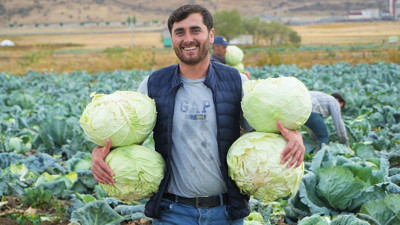 Altın değerinde sebze! Tanesi 100 TL’den satılıyor: Mide ve kansere karşı etkili