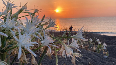 Bu çiçeği koparan yandı! Cezası 2 milyon 800 bin lira
