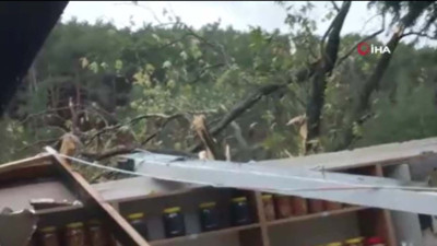 Balıkesir'de hortum ağaçları kökünden söktü