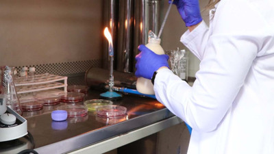 Gıdanın bozulduğunu renkle bildiren çalışma tescil aldı